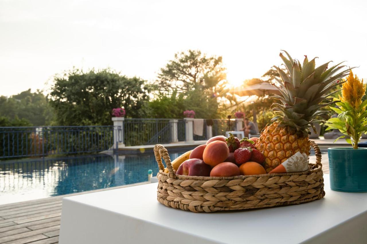 Terre De Reve Bed & Breakfast Le Rouret Luaran gambar